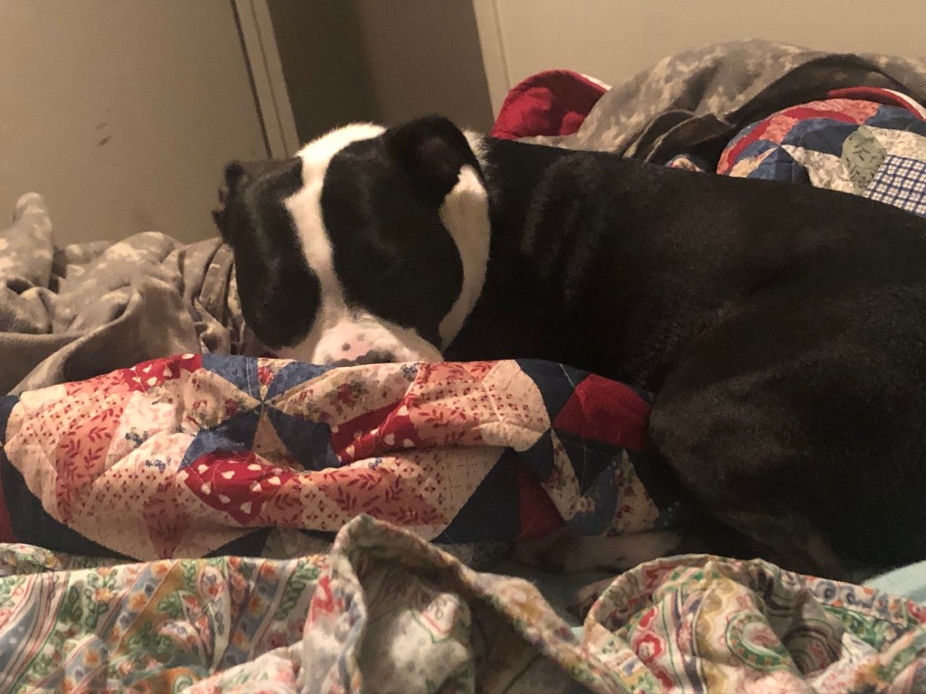 Ever Have You&nbsp;Ever