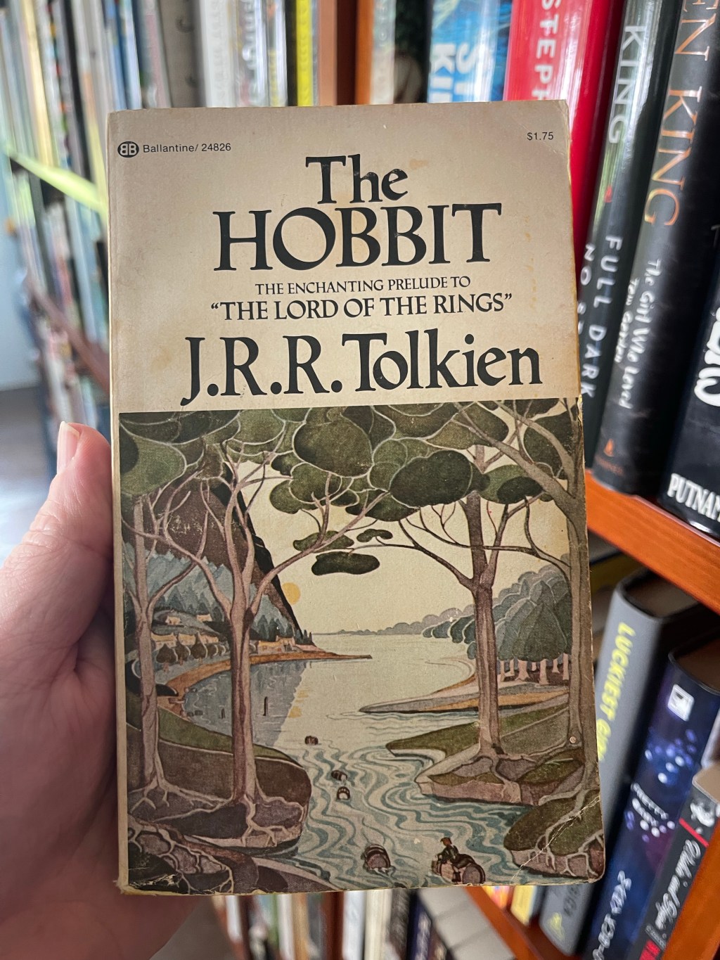 Unexpected Adventure